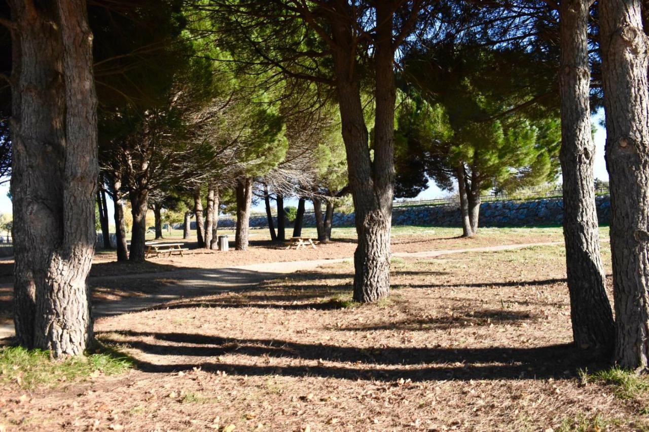 Vila La Solana Saint-Laurent-de-la-Salanque Exteriér fotografie